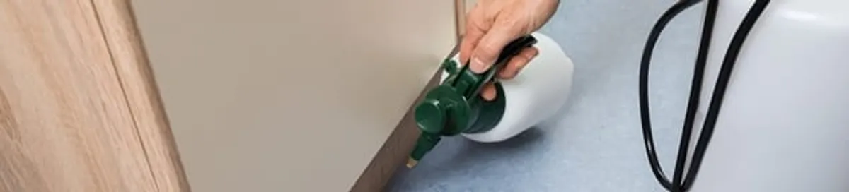 Bed bug exterminator treating baseboards and cracks with targeted spray in El Paso, TX