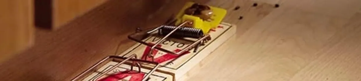 Rodent trap set indoors for rodent control and prevention in El Paso, TX